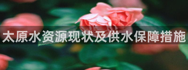 球友会体育app下载安卓版