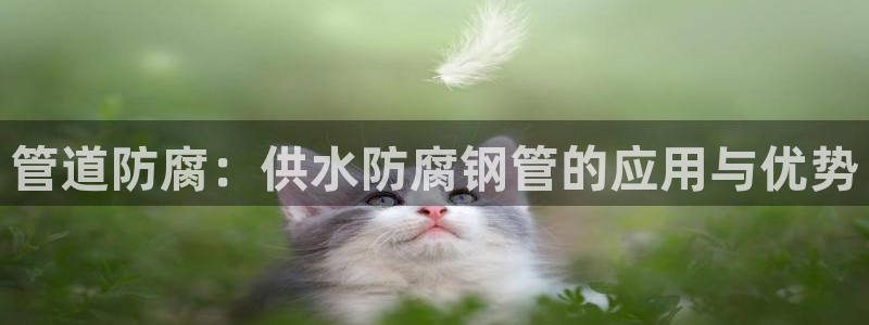 球友会体育app官方版下载安装