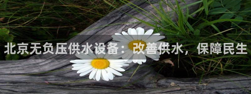 球友会台球俱乐部官网