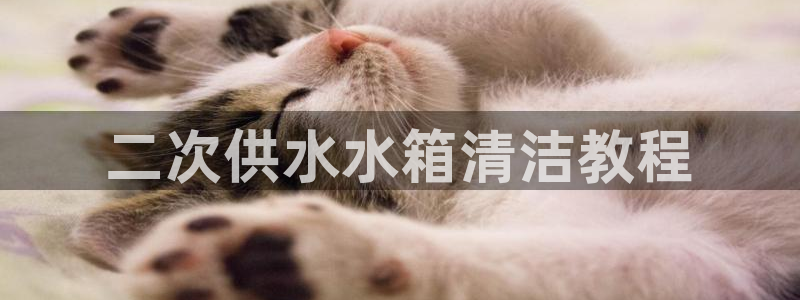 球友会赛程