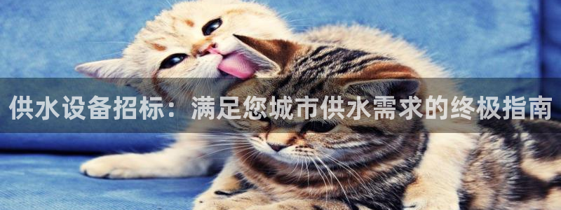 球友会体育