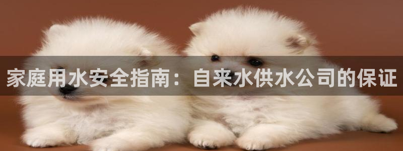 球友会app干啥的呀