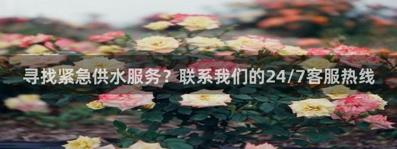 球友会赛程
