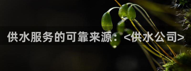 球友会友谊赛赛程赛果