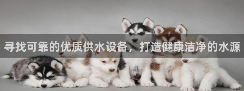 球友会qyh
