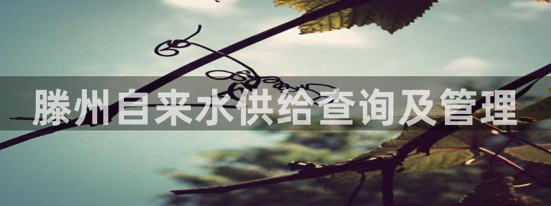 QY球友会官网