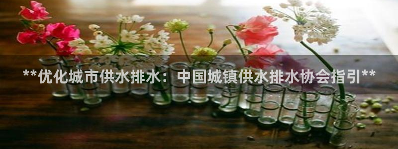 球友会体育