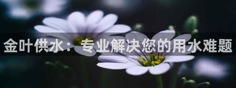 QY球友会