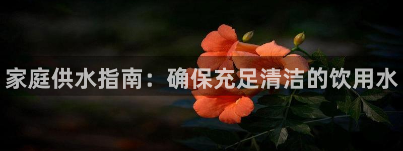 QY球友会官网