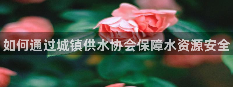 球友会体育官网