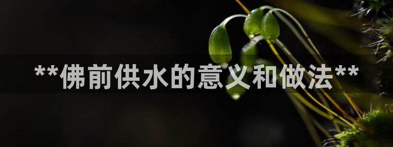 QY球友会官网