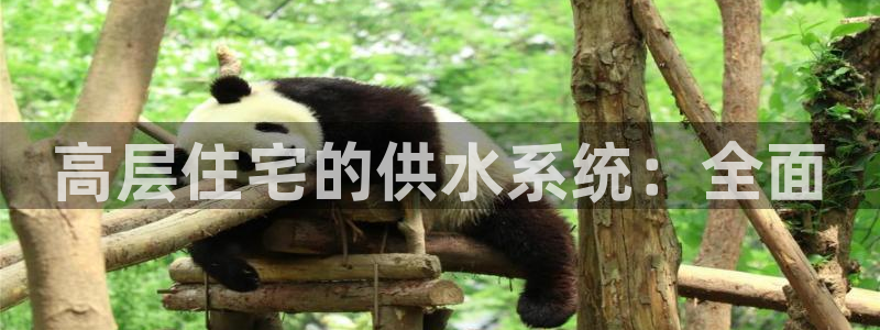 球友会qy怎么进不去