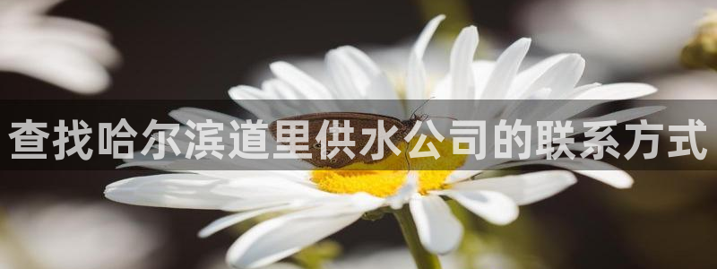 球友会比尔森胜利塔波斯科