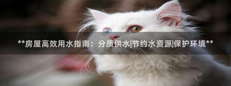 球友会不出款