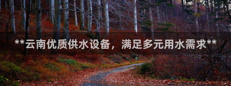 球友会登陆