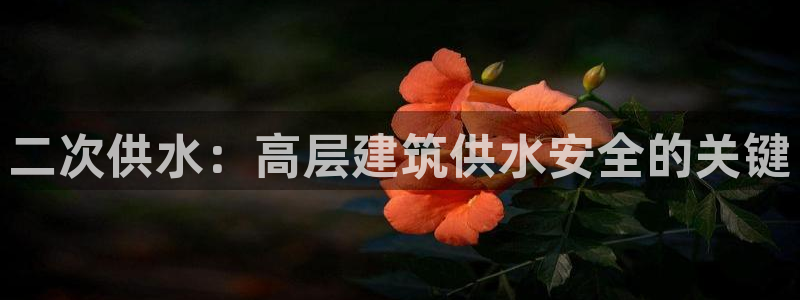 球友会体育app官方版下载安装苹果手机