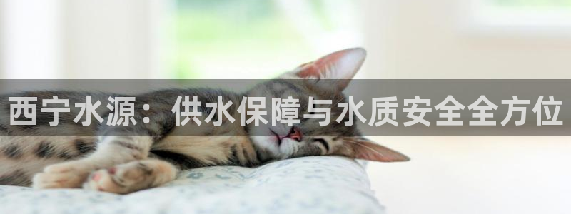 球友会官网入口网址