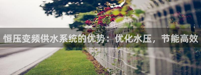 球友会官网入口在哪里