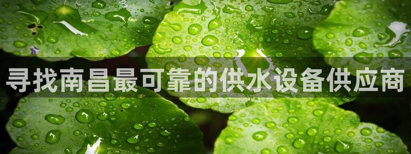 球友会app官网下载安卓