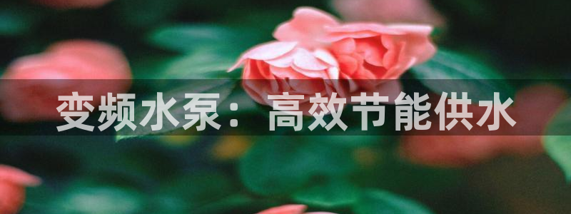 球友会友谊赛7月28日曼联阿森纳