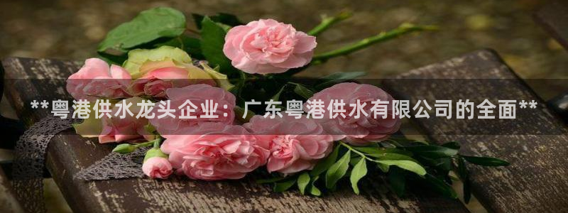 球友会友谊赛赛程赛果