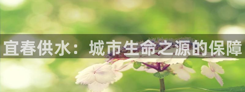 qy球友会体育怎么样