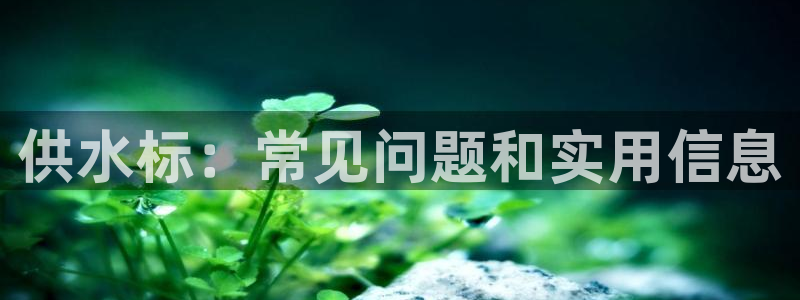 球友会比赛结果查询网站
