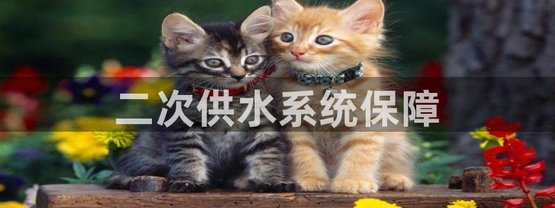 球友会体育app下载安卓版