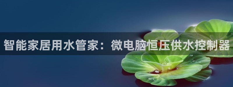 球友会联赛