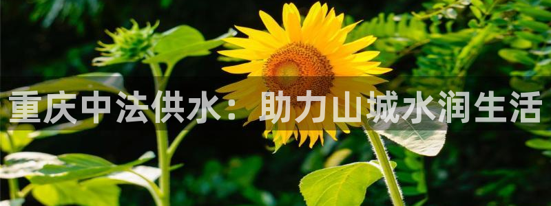 球友会体育app下载安卓手机