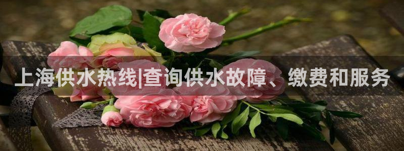 球友会app官方网站
