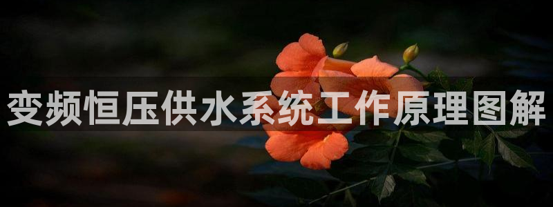 球友会能提现吗