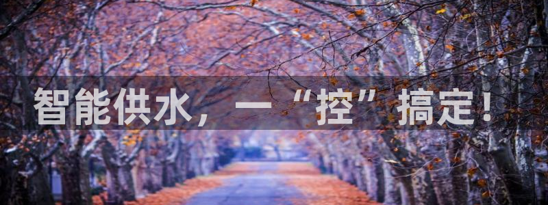 QY球友会体育官方平台