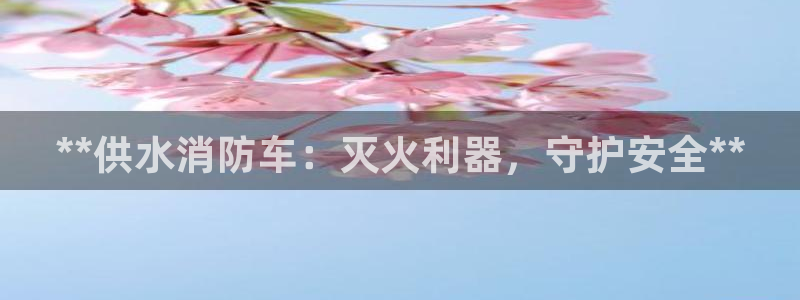 球友会提现不到账