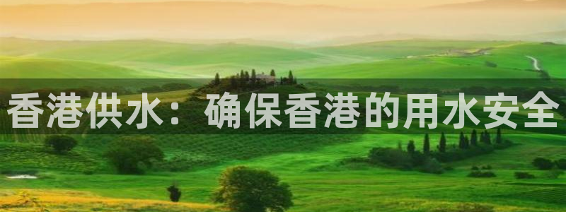 球友会不出款