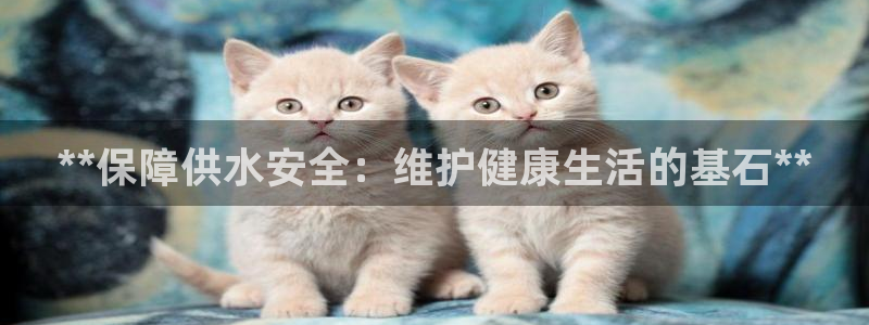 球友会下载