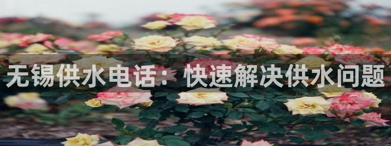 球友会提款审核