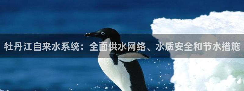 QY球友会