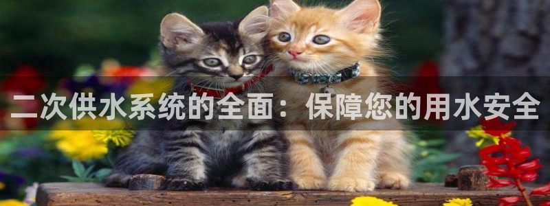 球友会台球俱乐部