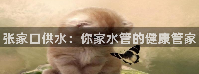 球友会比赛结果查询系统