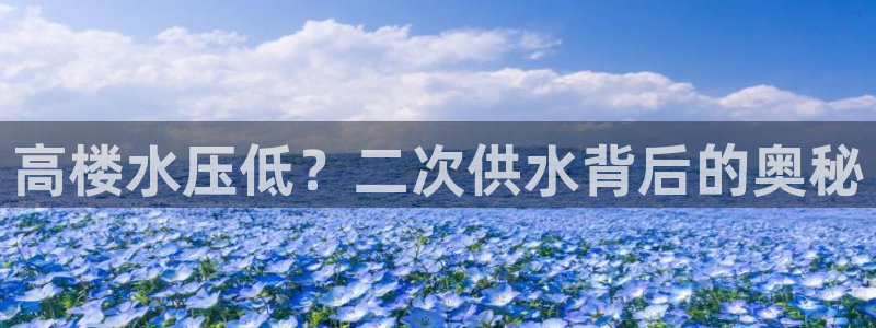 球友会官网入口网址