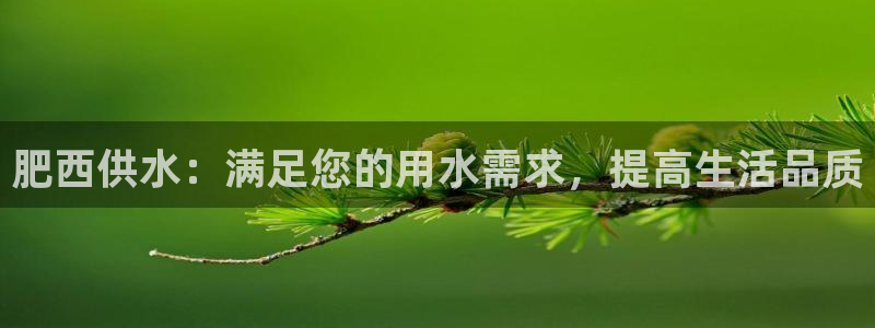 球友会qy怎么进不去