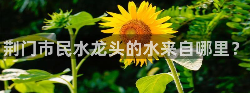 QY球友会体育官网