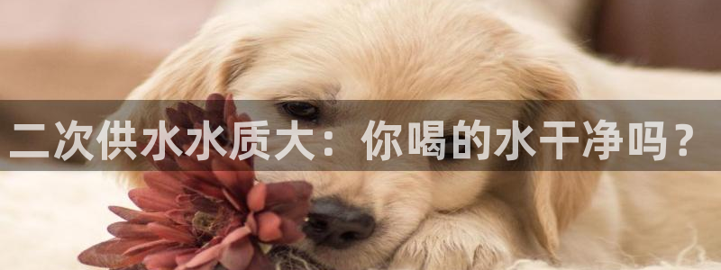 球友会娱乐