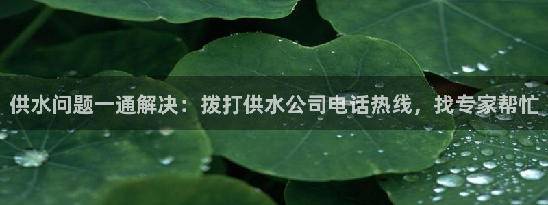 球友会app官方网站入口