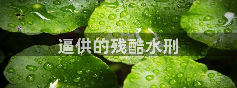 球友会英文怎么说呢翻译