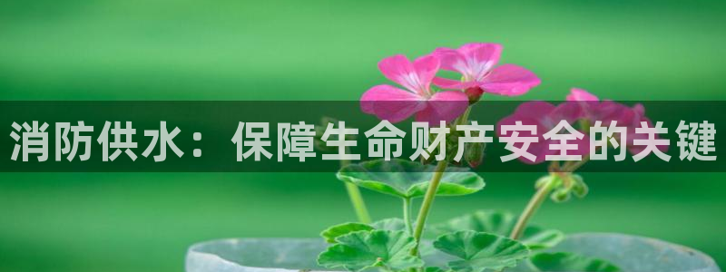 QY球友会体育官网