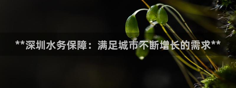 球友会体育