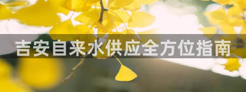 球友会提款不到账