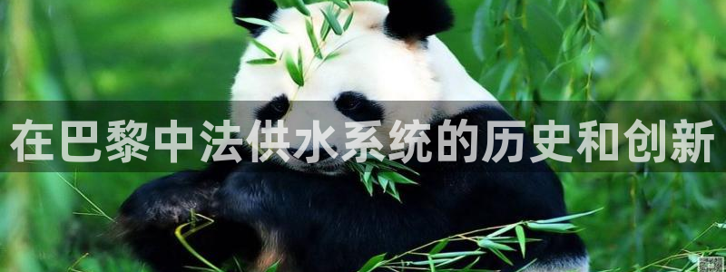 球友会英文怎么说呢翻译